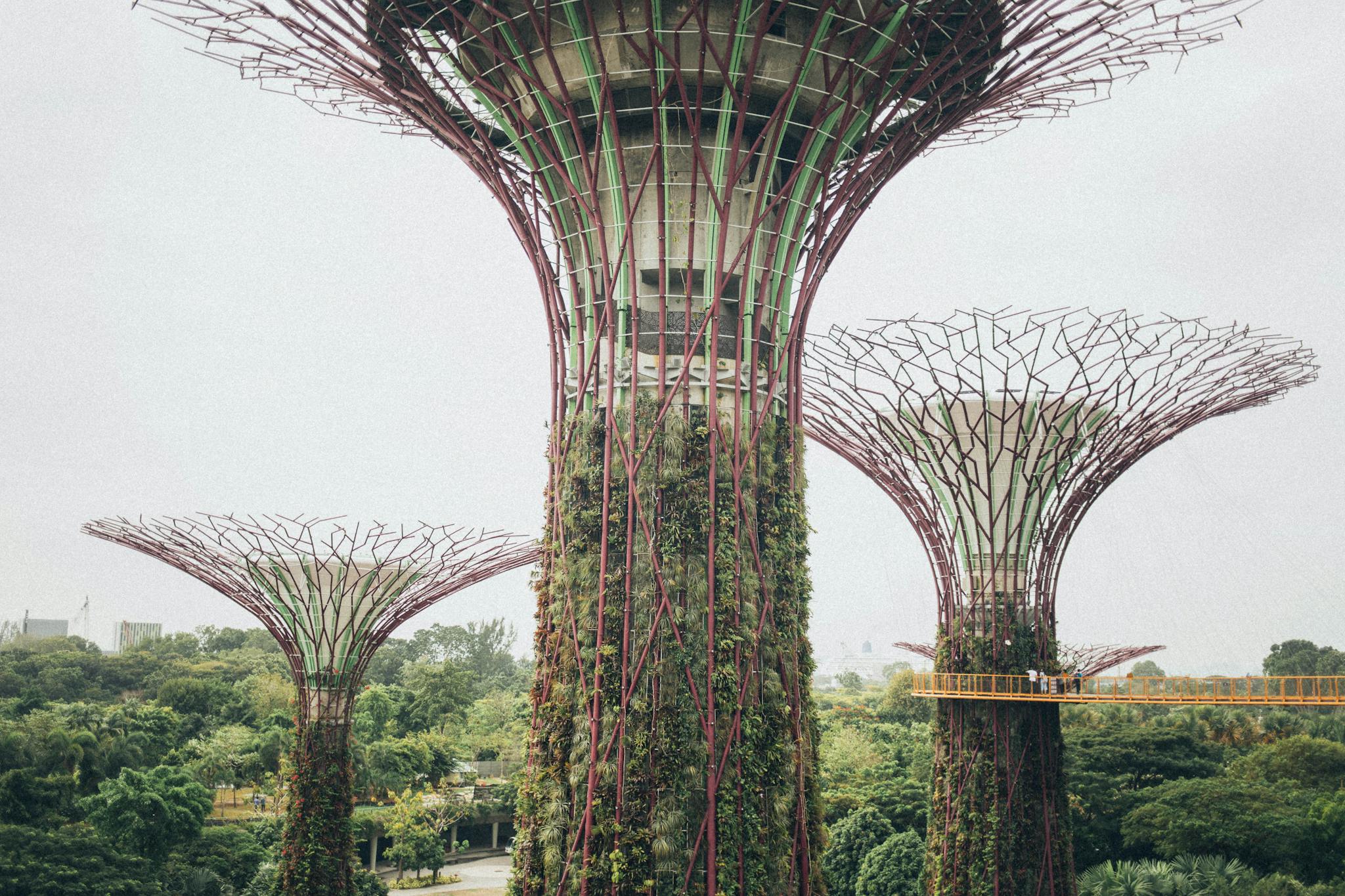 Close-up view of Supertrees at Gardens by the Bay in Singapore, showcasing unique architecture.